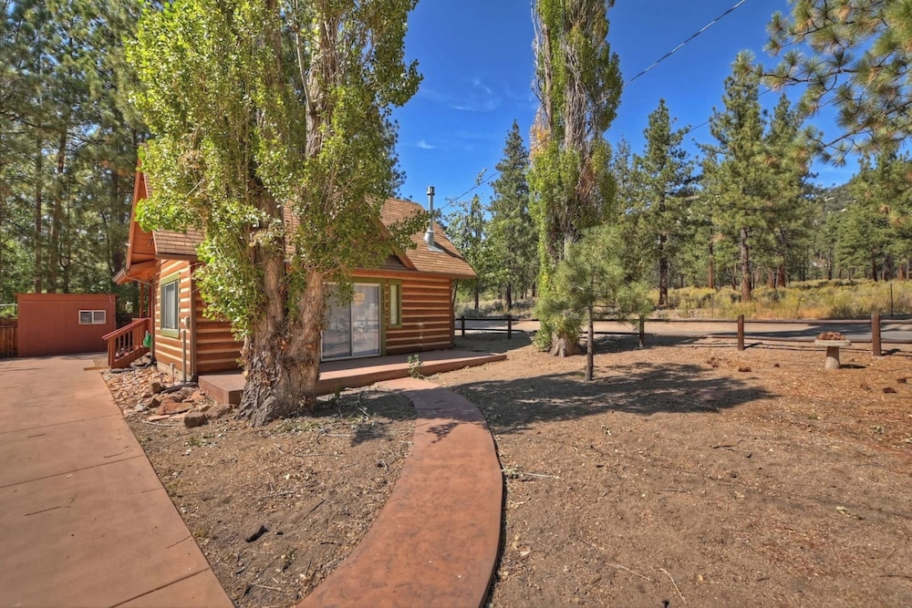 Brother Bear Cabin
