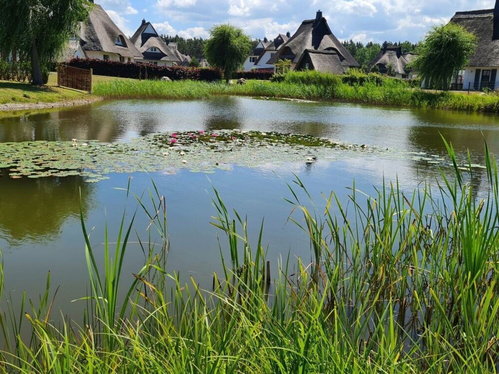 Seeschwalbe Modern Retreat