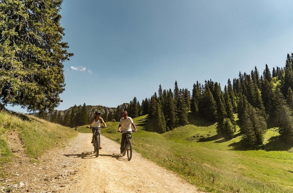 Chalet Ours Brun ORB Mountain & Quiet 6 Pers
