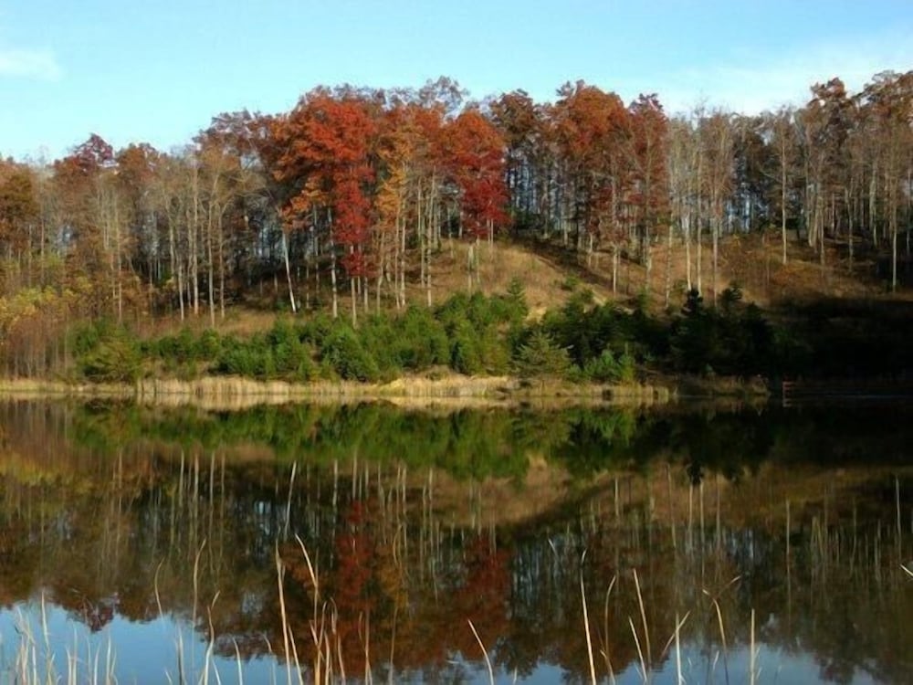 Cliffview Resort