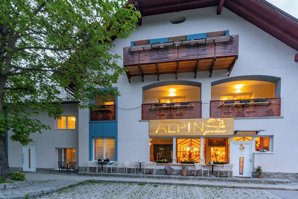 ALPINpelso