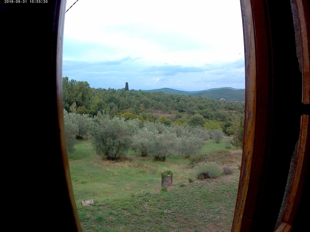 Lippianaccio en Bucine