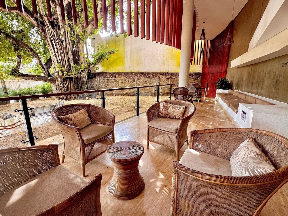 808 Martinique
