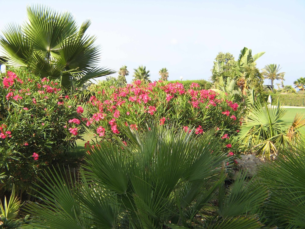 VenAVera C10A - Ground floor Garden 3Bedrooms/2Baths Beachfront, WIFI