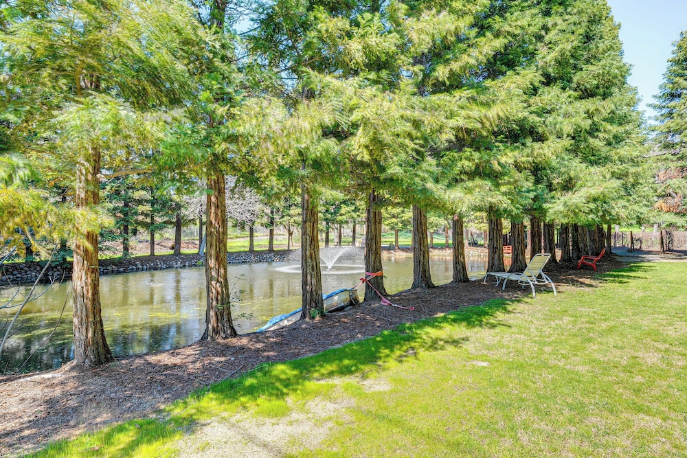 Luxe Vineyard Villa w/ Views & Fire Pit in Loomis!