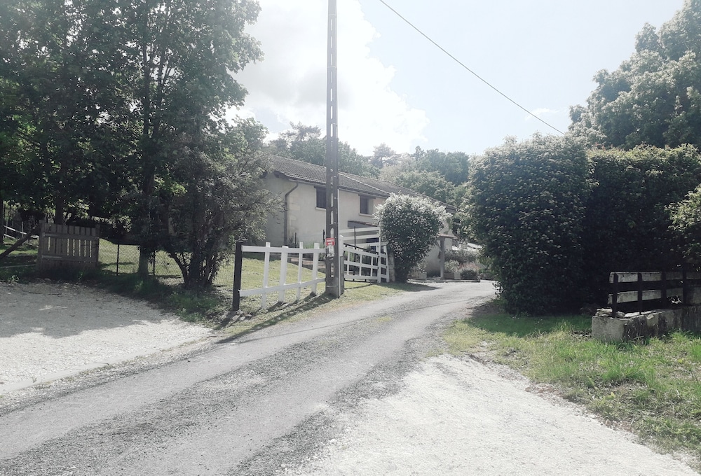 Photo 20