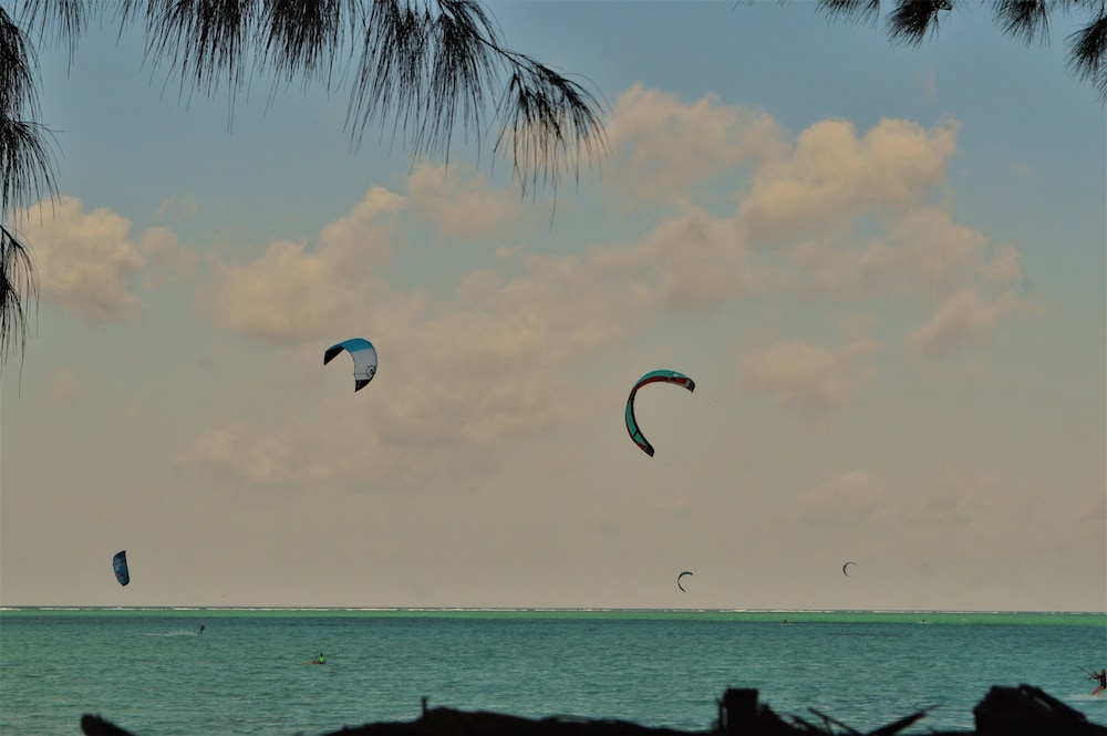 Zanzibar Dream Lodge