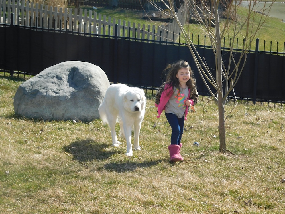 Evonne's Sharing House - Property Image 11