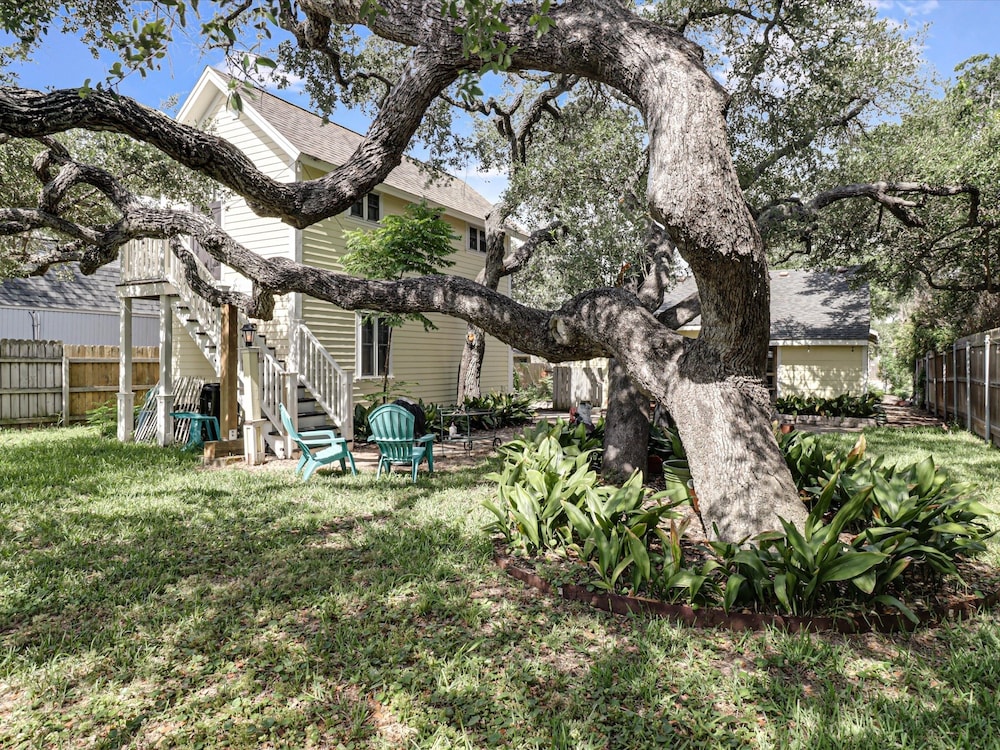 Rockport Treehouse 1 Bedroom Home