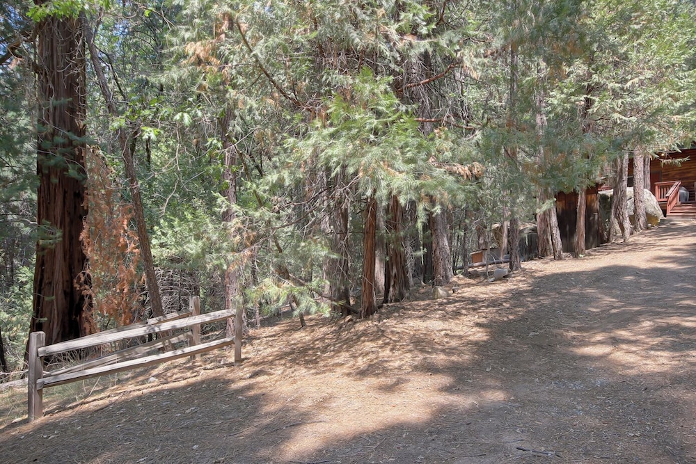 The Tree House