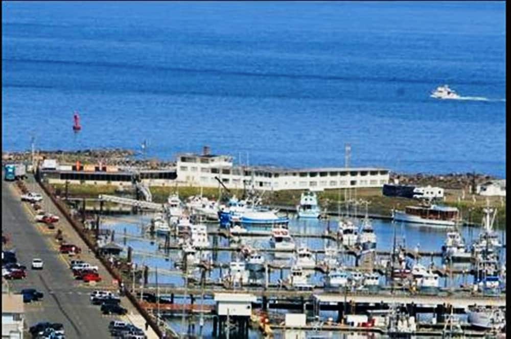 Islander Westport