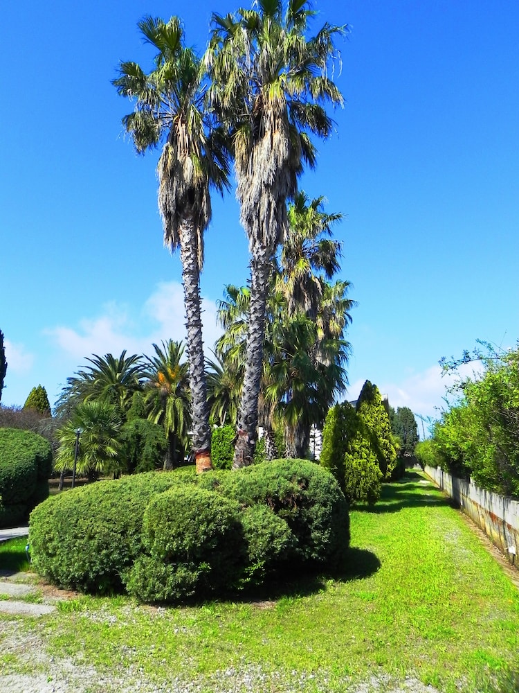 Photo 43