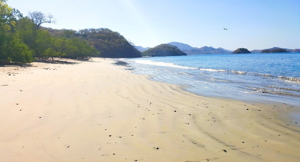 Oceanview Condo With Pool Near Playa Prieta 2BR - Vida de la Paz 4