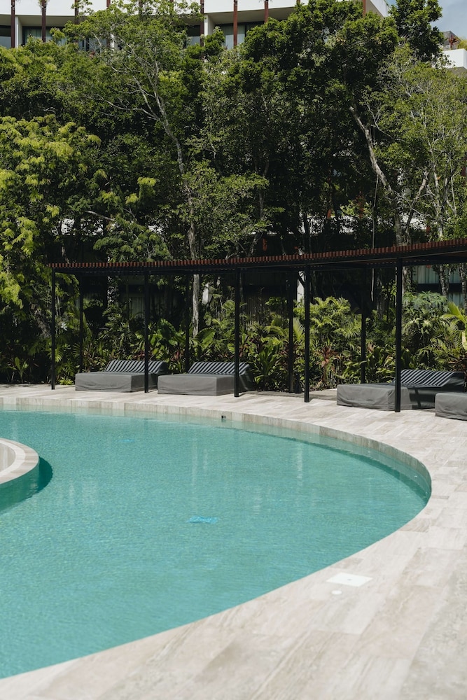 Beautiful Jungle Loft With Rooftop Pool and Gym