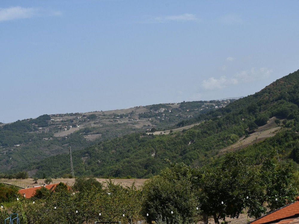Photo 44