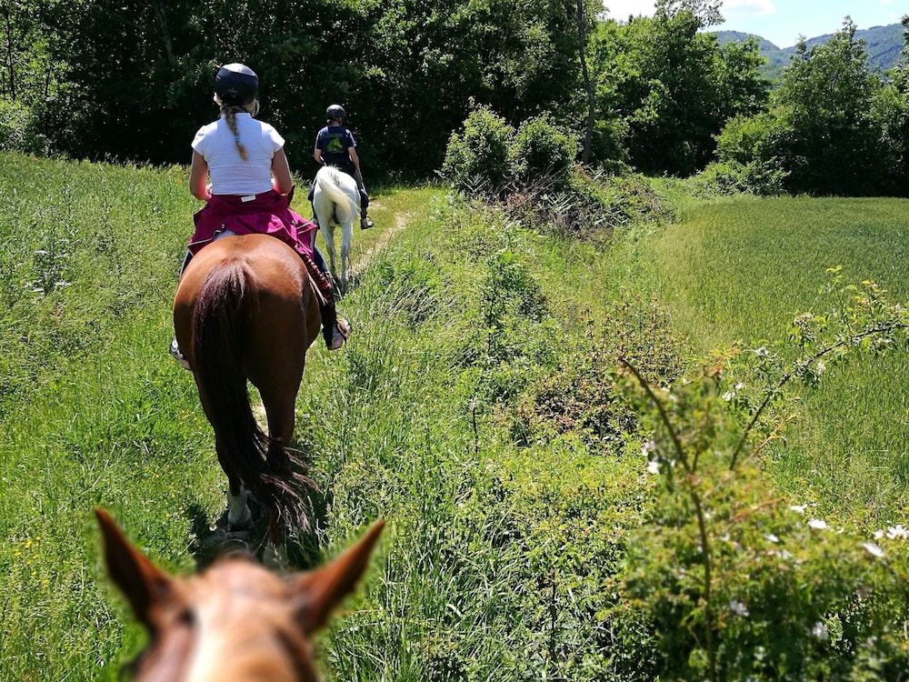 Farmhouse With Stables, Horses and the Ability to Make Horseback Riding