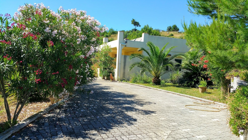 Photo 25
