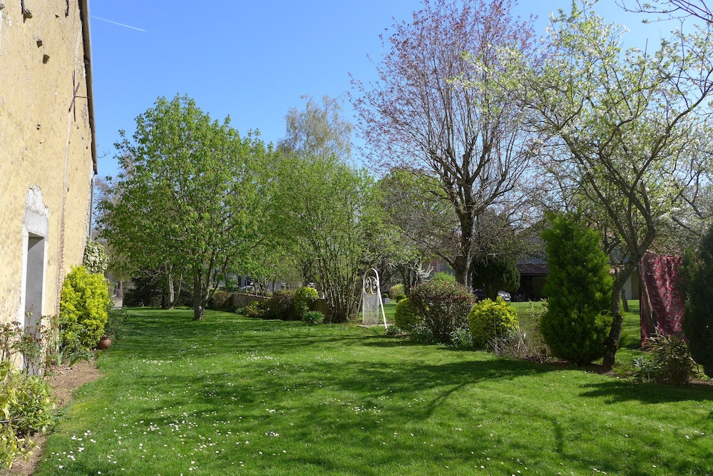 Blumereve