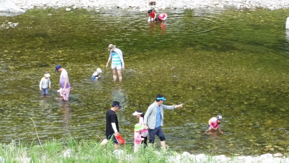 Caddis Pension