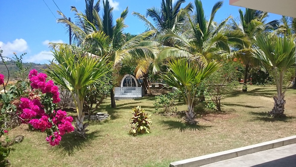 Photo 17