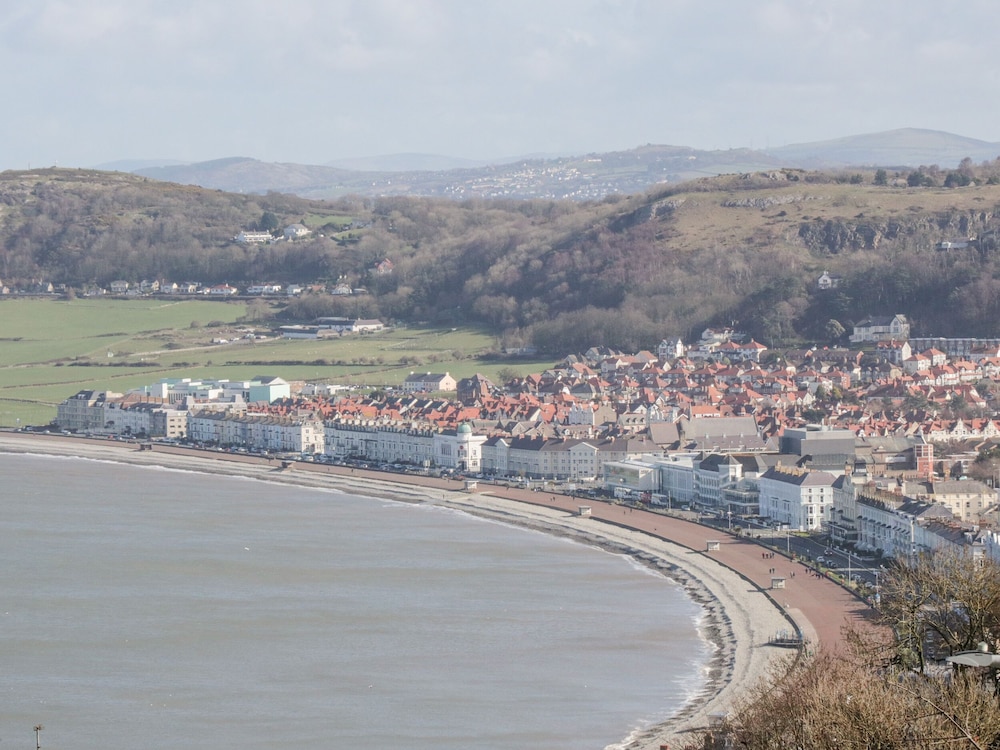 Gwyder