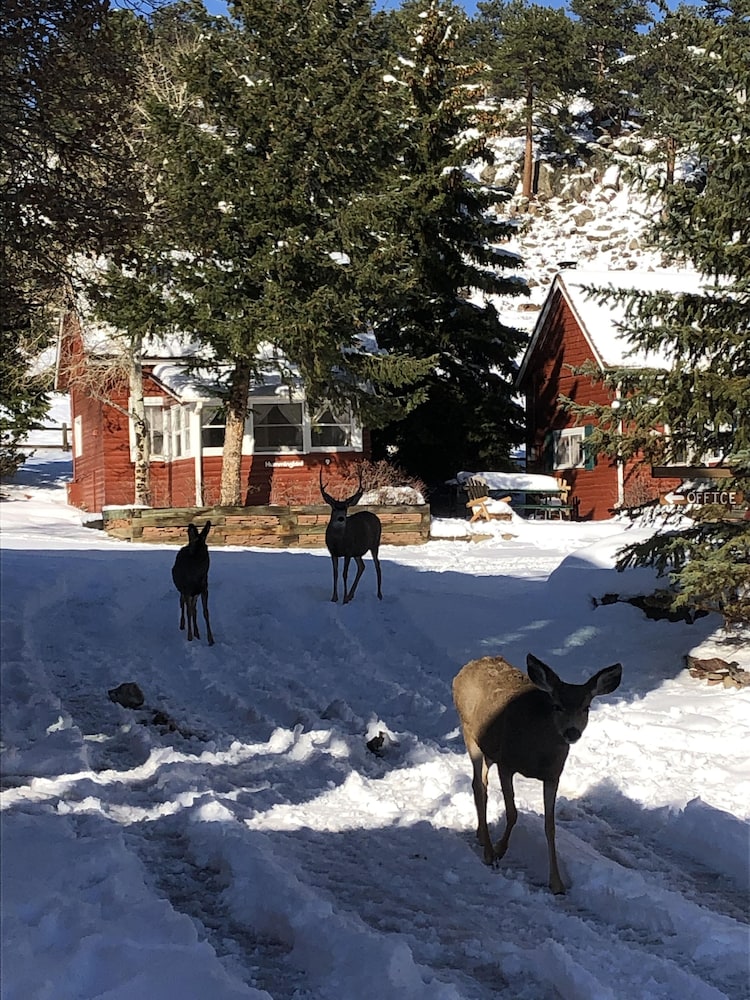 Colorado Cottages
