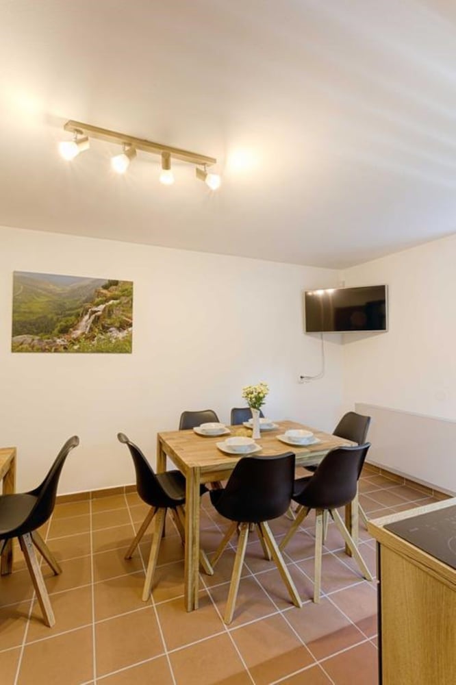 Fully-furnished Villa in Harrachov