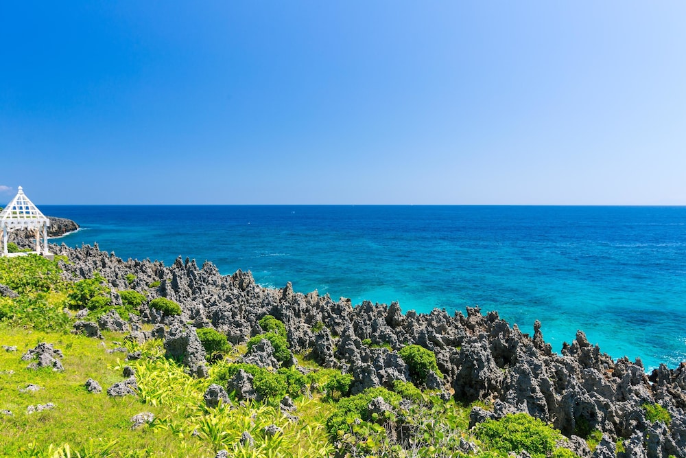 Coral View