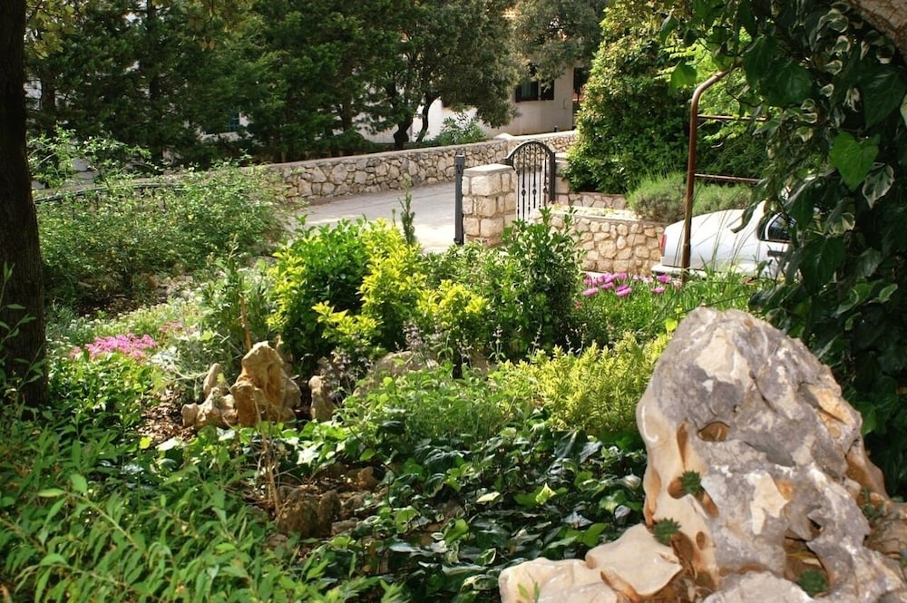 Photo 41