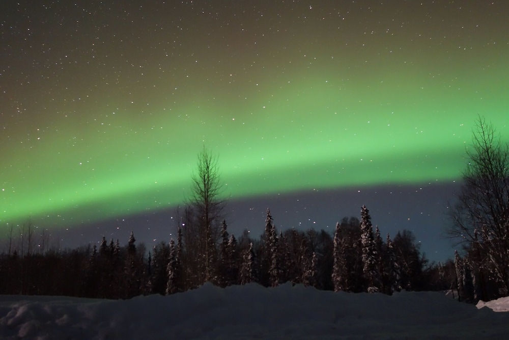 Backwoods Cabins at Susitna River Lodge view 3