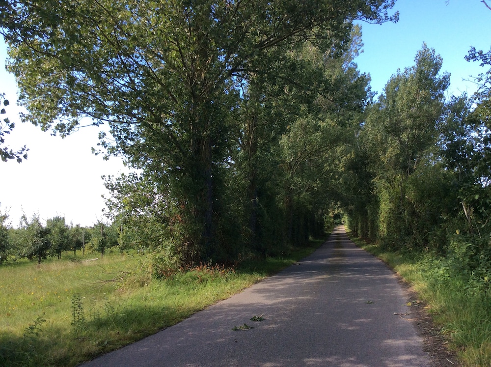 Askø Mejeri - B&B