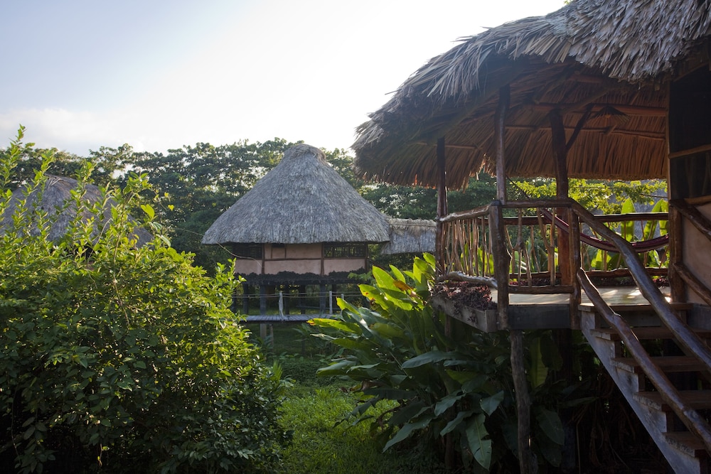 Cotton Tree Lodge - Property Image 7