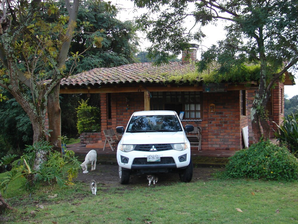 Photo 8