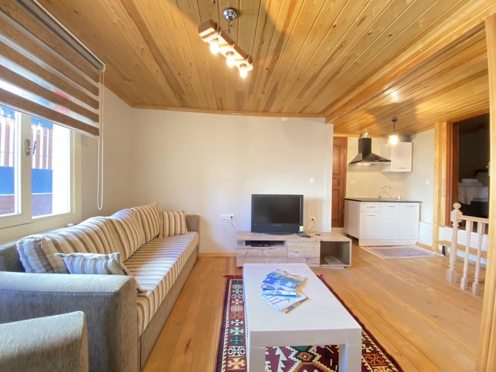 Historical Duplex Villa With Patio in Beyoglu