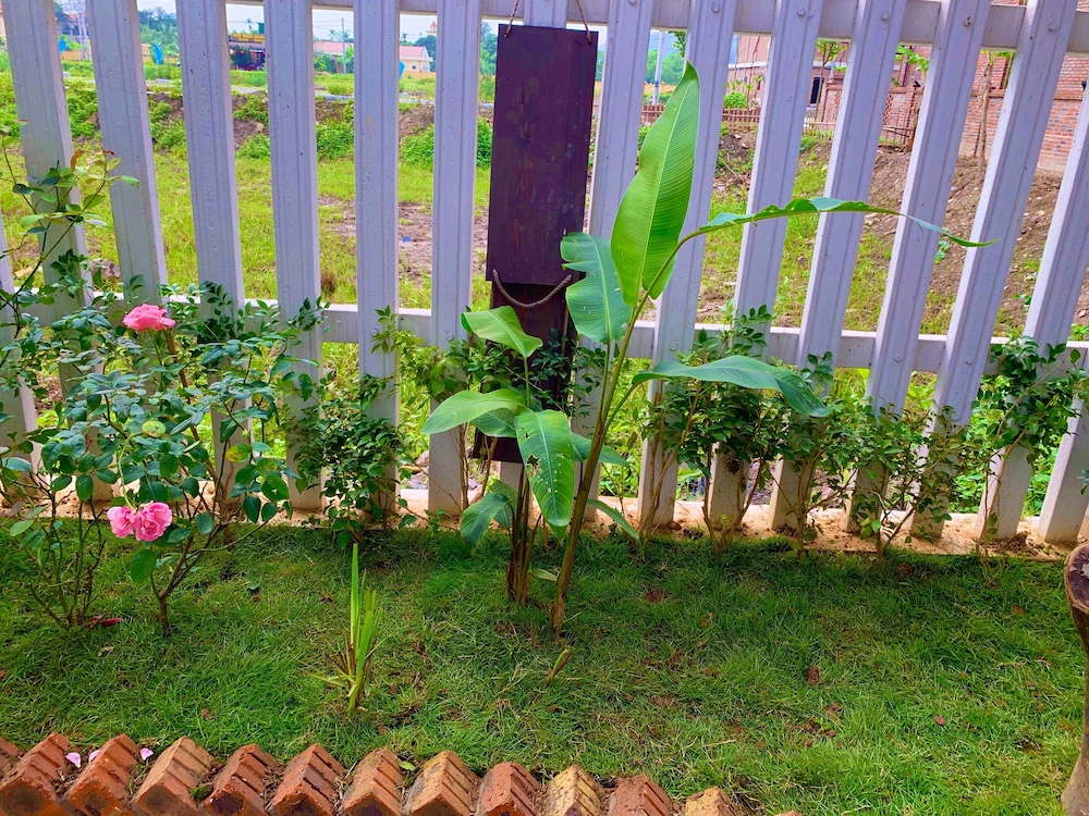 Photo 20