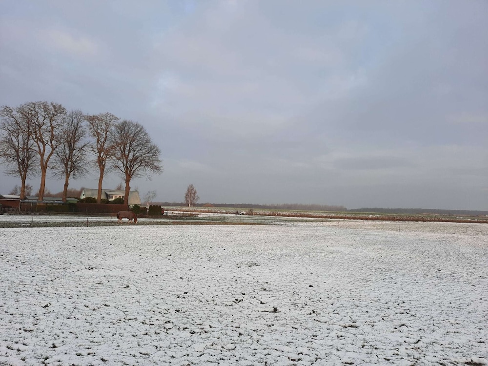 Ferienwohnung auf Insel Poel view 5