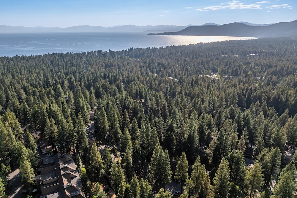 Tahoe Dreamin by Avantstay Central Location