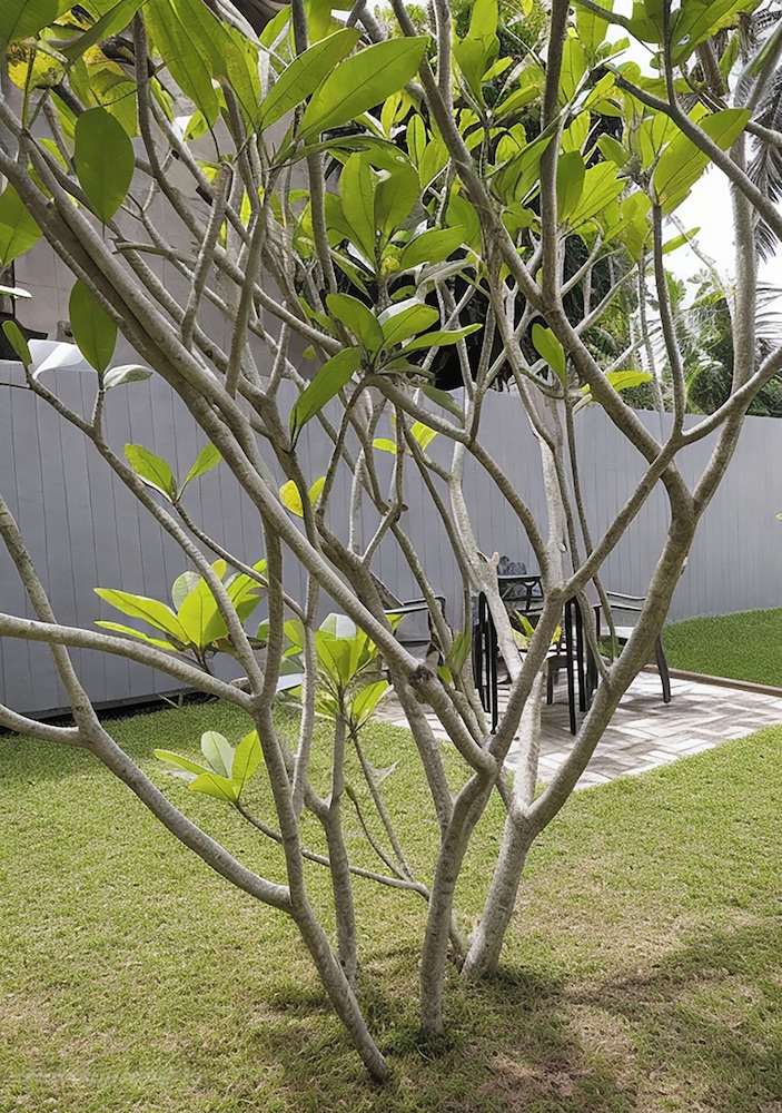 Avita Holiday Home