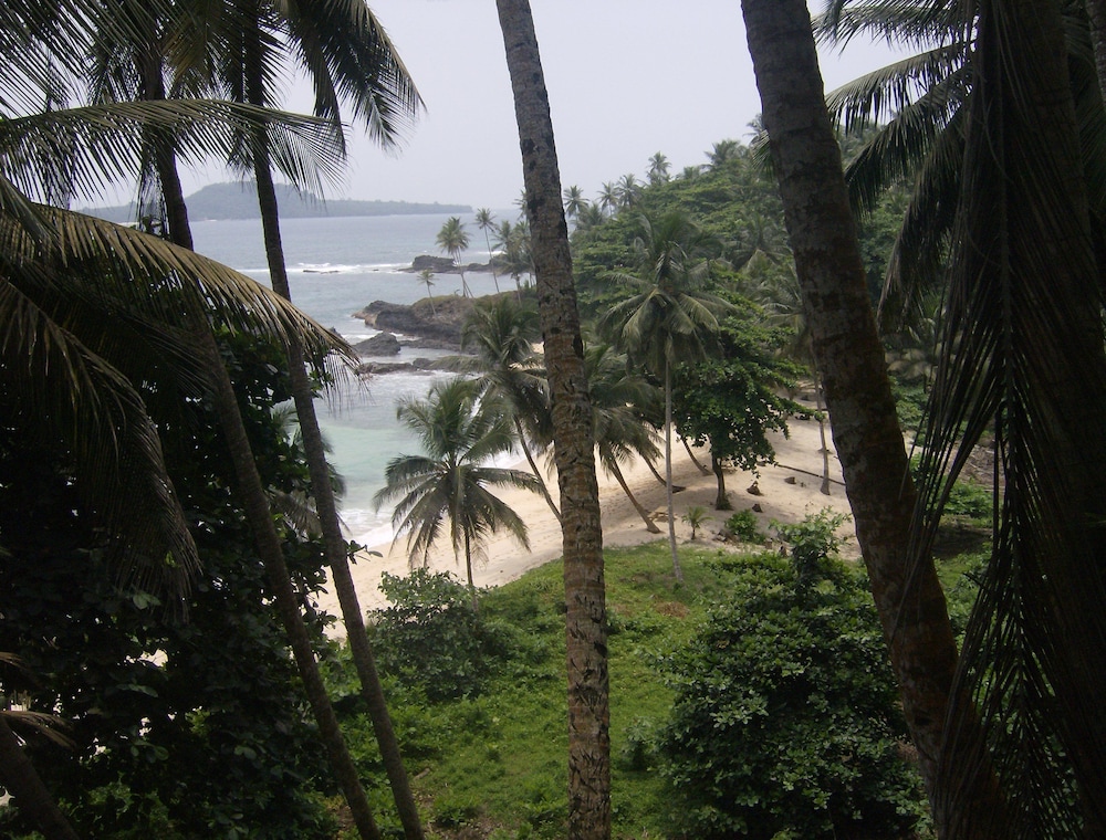 Photo 24