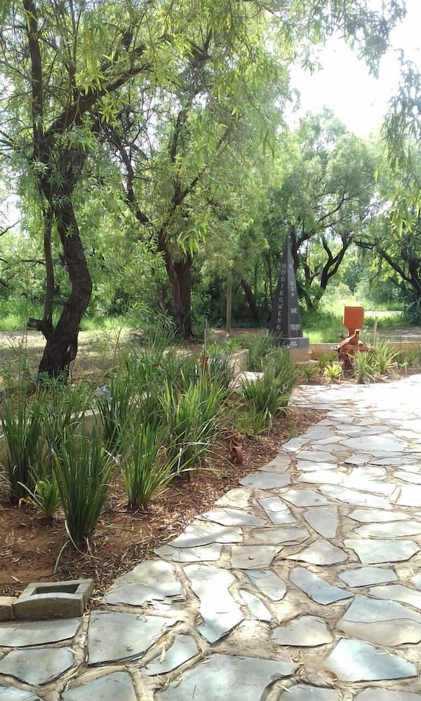 Photo 8