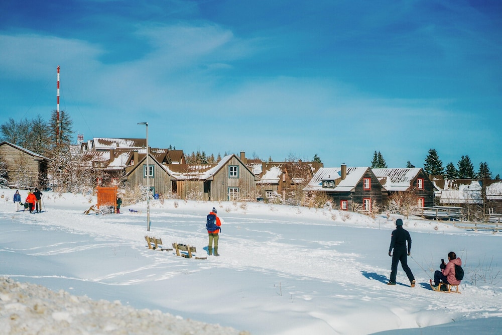 Chalet in Harz With Sauna & Brocken Views