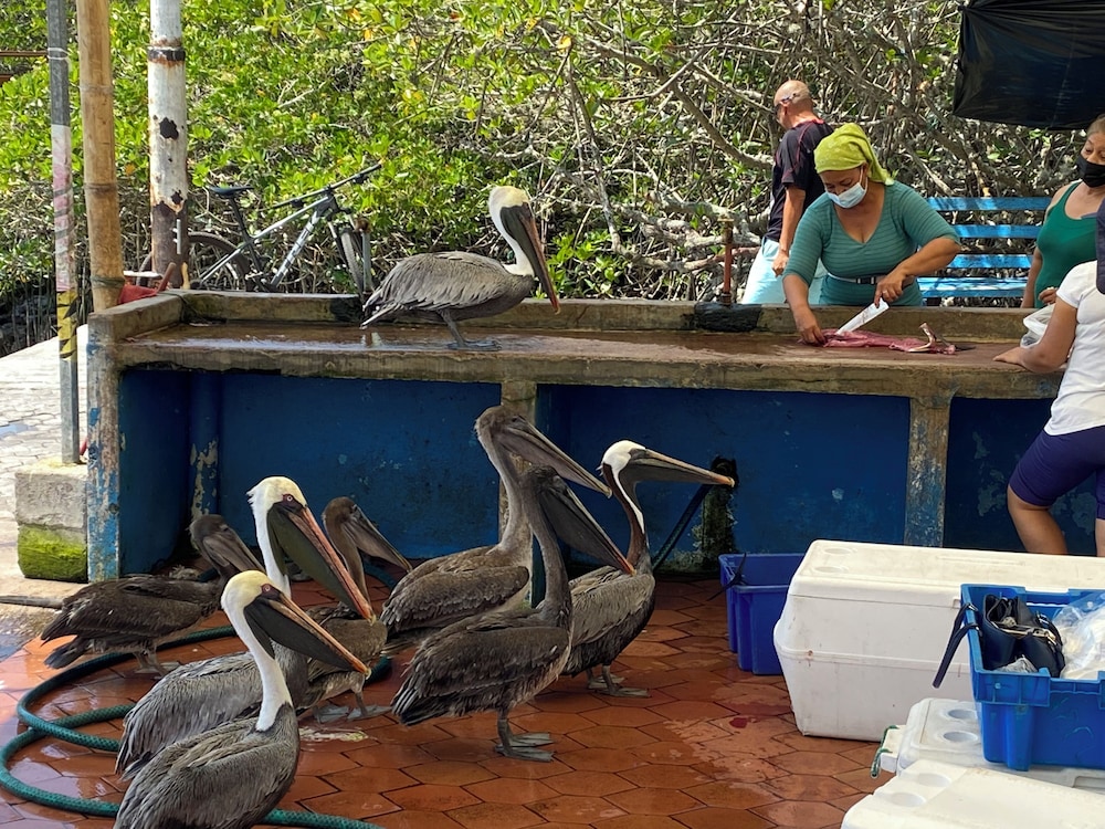 La Peregrina Bed & Breakfast