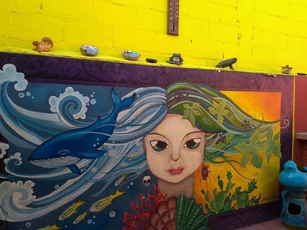 Ensenada Backpacker view 5