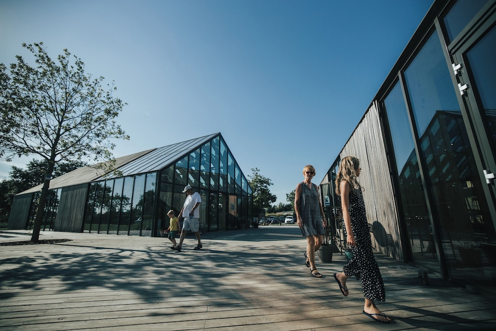 Ridderstee Ouddorp Duin view 2