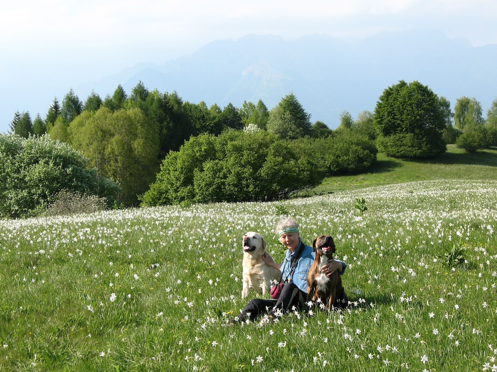 Campo di Cielo