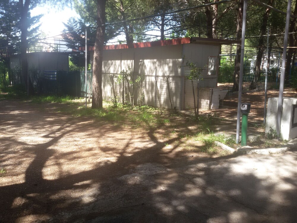 Parco delle Viole