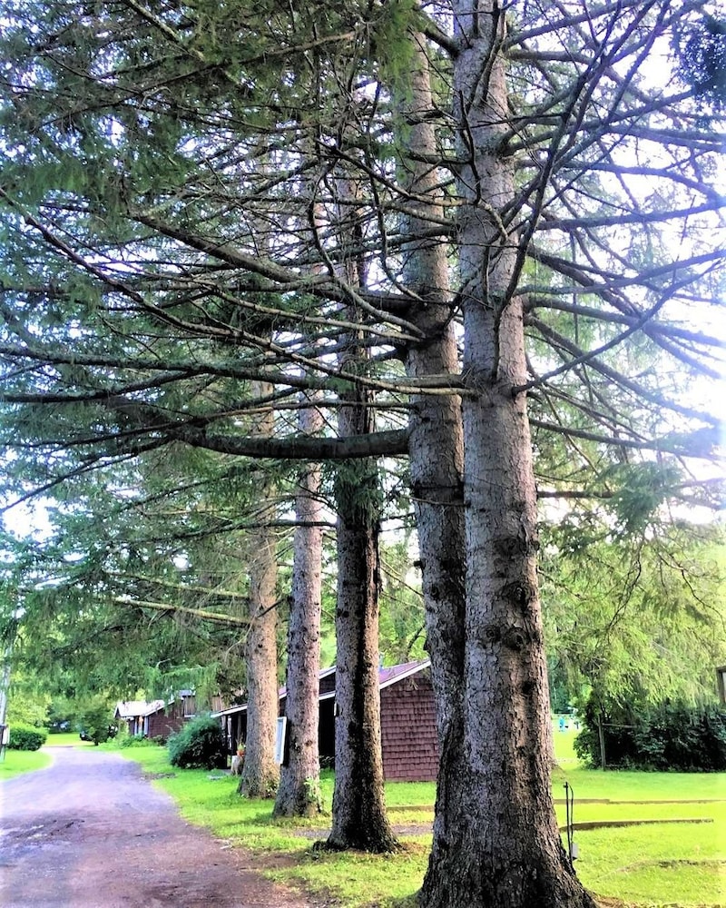 Cold Spring Lodge