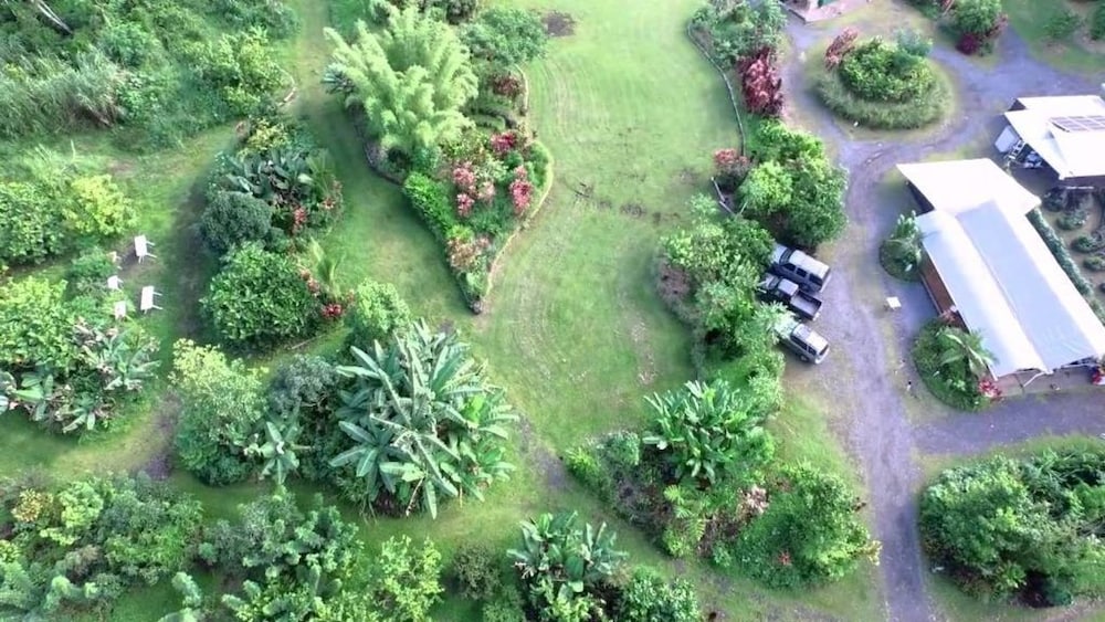 Hawaiian Sanctuary