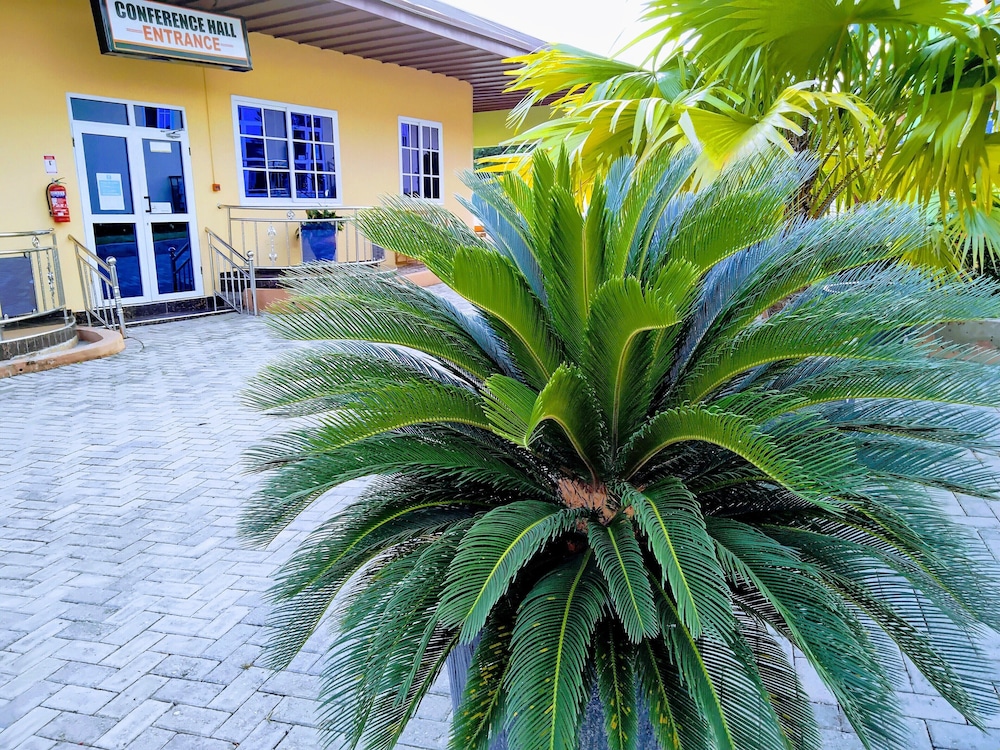 Photo 19