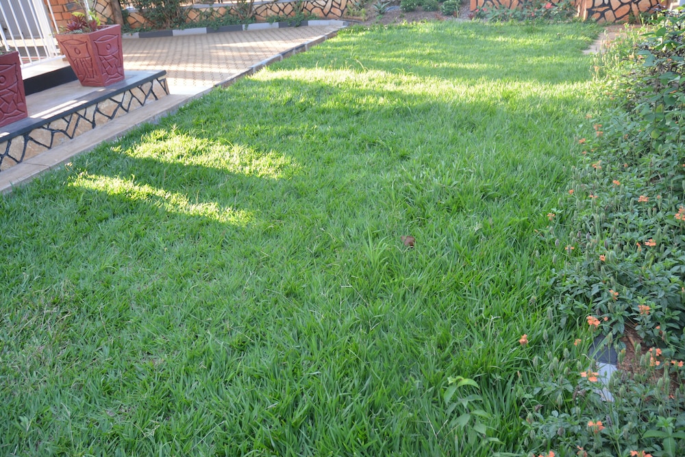 Photo 29